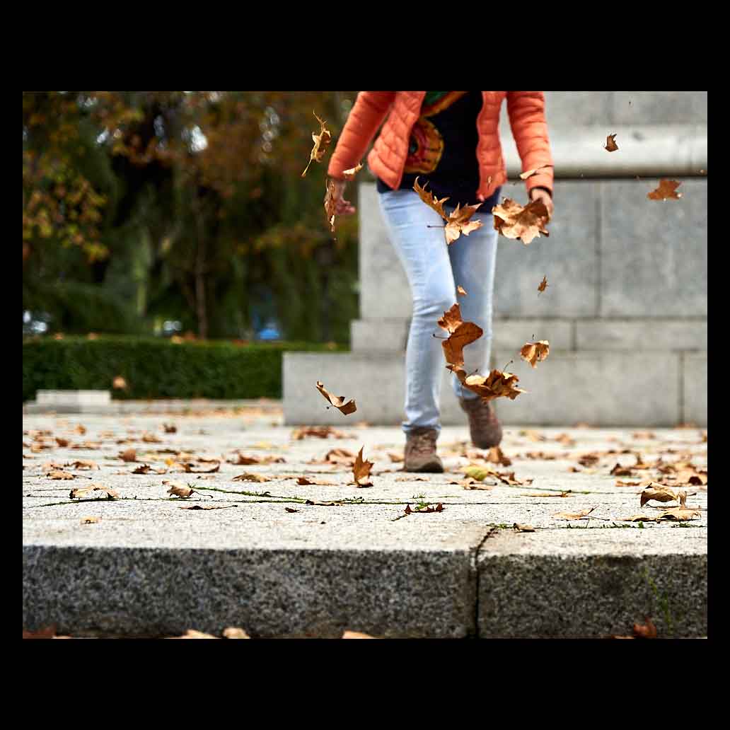 Playing with the leaves in autumn