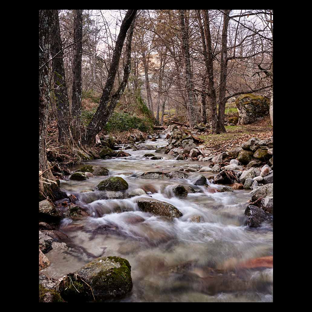 Herradero River in Cuevas del Valle, Ávila