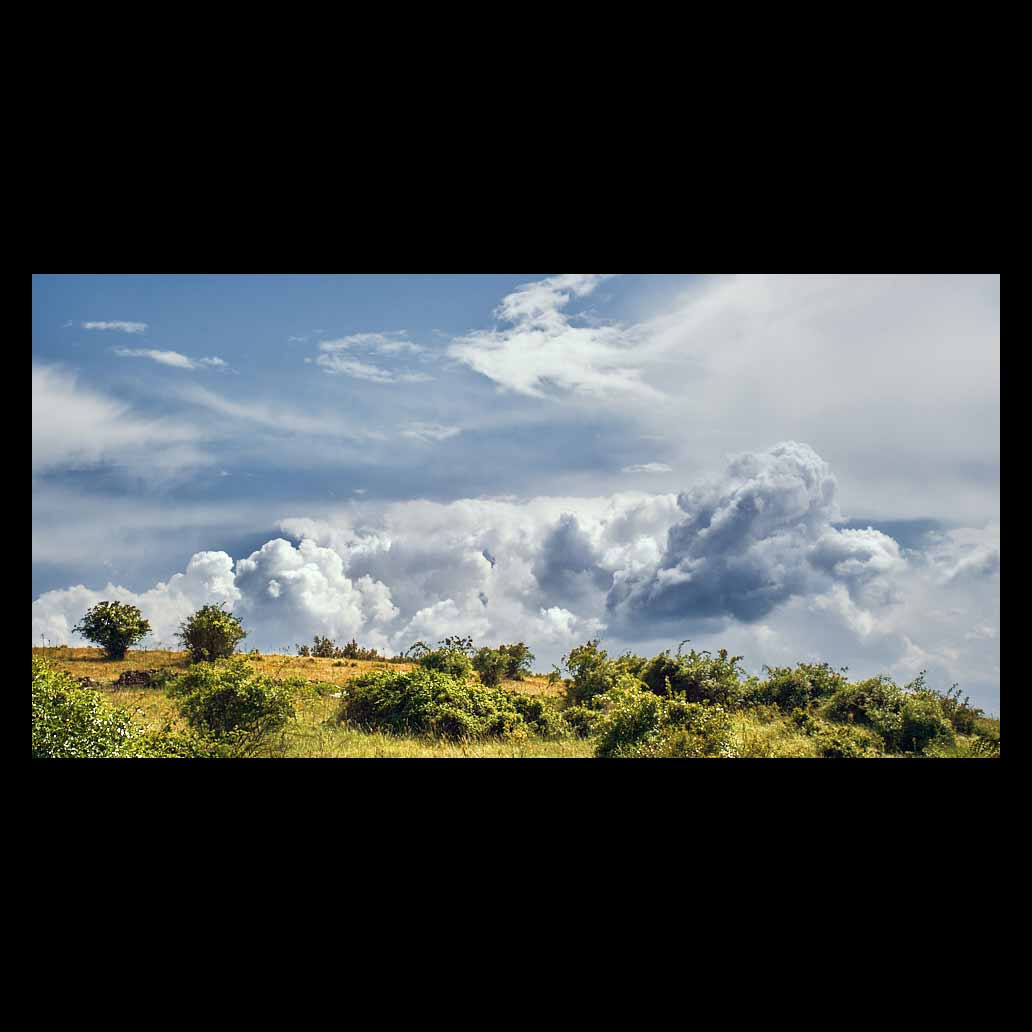 Horizonte de grandes nubes reflejan la luz sobre un verde prado