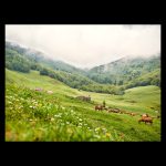 Valley where the Ponga River is born in Asturias