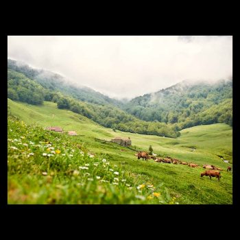 Valley where the Ponga River is born in Asturias