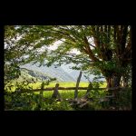 Window to the green valley