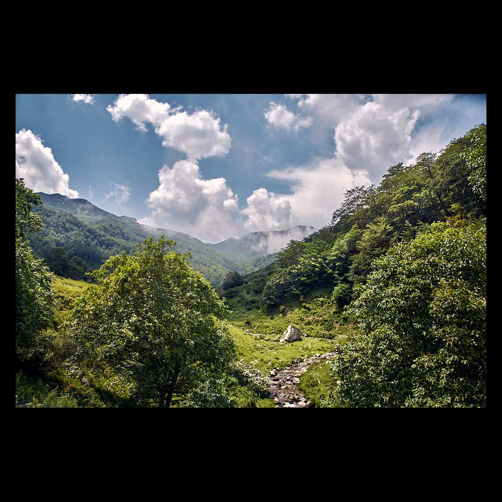Un gran valle verde donde reposan densas nubes blancas