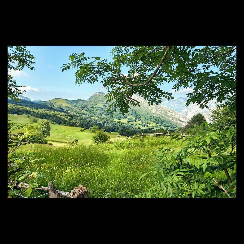 Un verde prado de Asturias bajo las faldas de grandes montañas