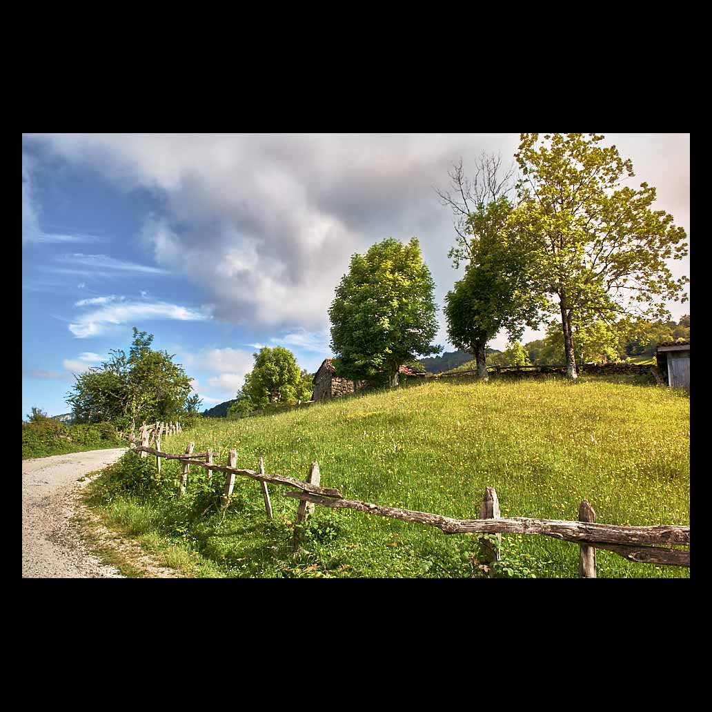 Un verde prado junto a un camino vallado por estacas de madera refleja la luz del atardecer
