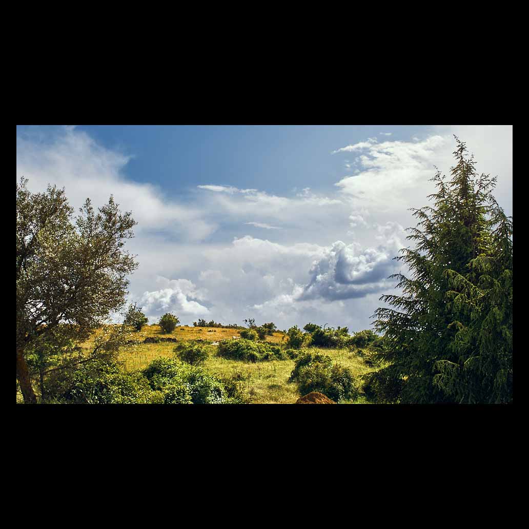 Paisaje de un verde campo, cielo azul y grandes nubes blancas