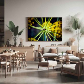 Fotogrtafía de un nsecto sobre un Diente de León