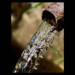 Chorro de agua fresca y cristalina sale de una fuente