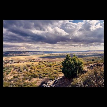 Paisaje panorámico de Torremocha del Jarama con primer plano de arbusto verde, campos de cultivo en el valle y cielo con grandes nubes de tormenta.