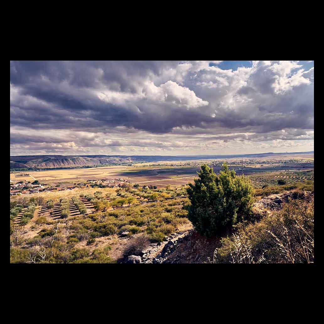 Paisaje panorámico de Torremocha del Jarama con primer plano de arbusto verde, campos de cultivo en el valle y cielo con grandes nubes de tormenta.