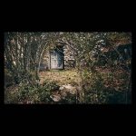 Vieja puerta de madera desgastada rodeada de árboles y vegetación en un bosque de Cuevas del Valle. Ramas en primer plano desenfocadas crean profundidad.