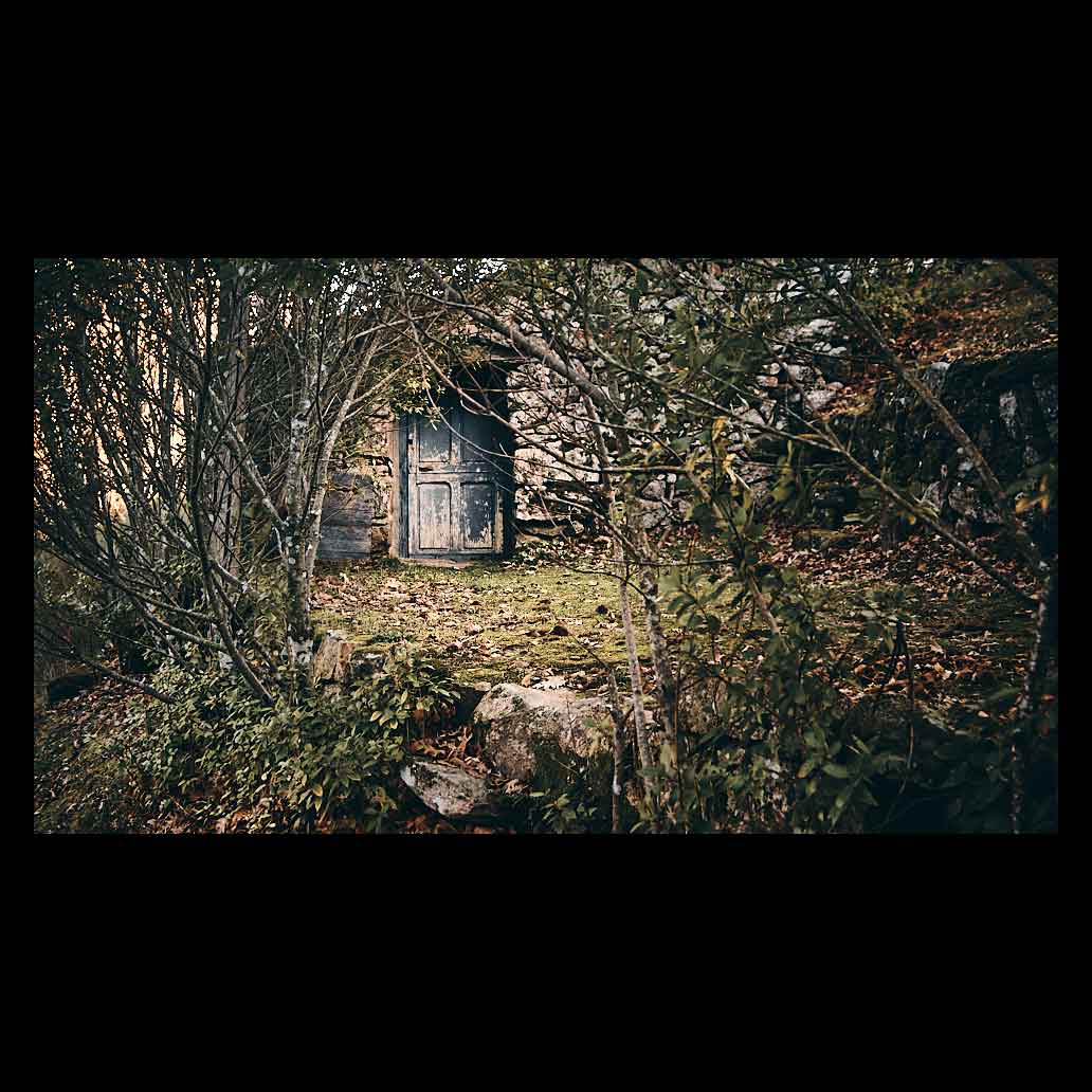 Vieja puerta de madera desgastada rodeada de árboles y vegetación en un bosque de Cuevas del Valle. Ramas en primer plano desenfocadas crean profundidad.